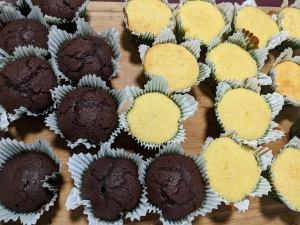 chocolate-and-vanilla-cupcakes
